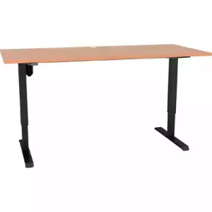 Electric Height Adjustable Desk