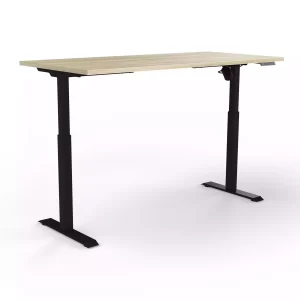 OLG Quick Stand Desk