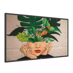 PHILIPS D-Line 50" signage display