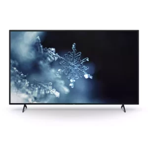 Sony PRO BRAVIA BZ 30L 43 inch