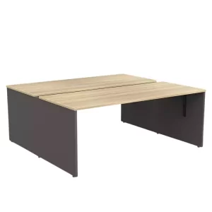 OLG EkoSystem Shared 2-User Workspace